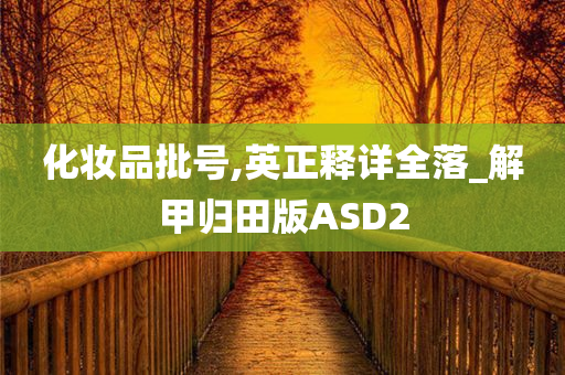 化妆品批号,英正释详全落_解甲归田版ASD2