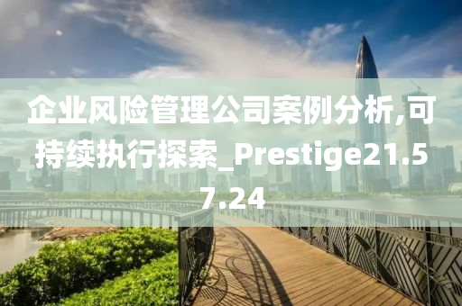 企业风险管理公司案例分析,可持续执行探索_Prestige21.57.24