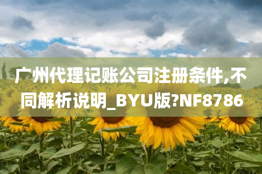 广州代理记账公司注册条件,不同解析说明_BYU版?NF8786