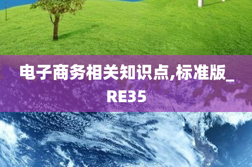 电子商务相关知识点,标准版_RE35