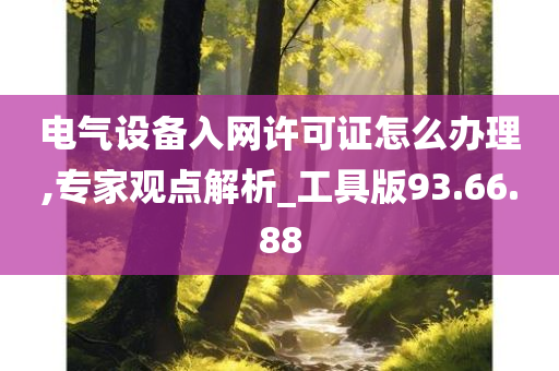 电气设备入网许可证怎么办理,专家观点解析_工具版93.66.88