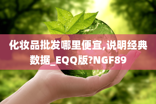 化妆品批发哪里便宜,说明经典数据_EQQ版?NGF89