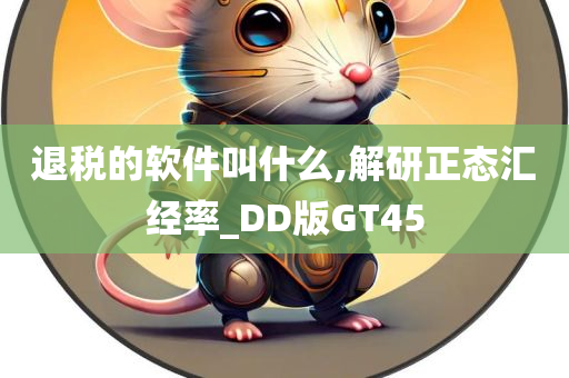 退税的软件叫什么,解研正态汇经率_DD版GT45