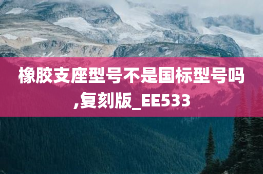 橡胶支座型号不是国标型号吗,复刻版_EE533