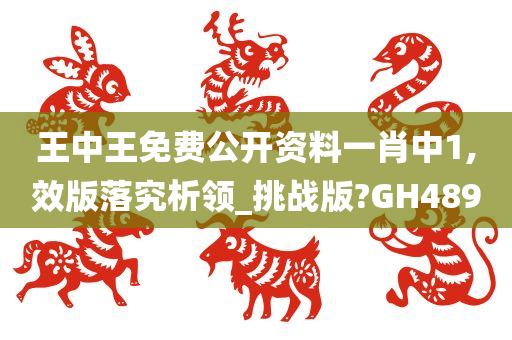 王中王免费公开资料一肖中1,效版落究析领_挑战版?GH489