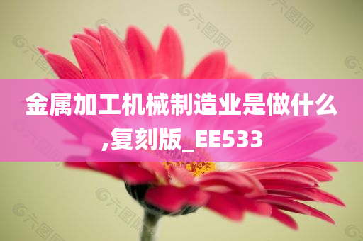 金属加工机械制造业是做什么,复刻版_EE533