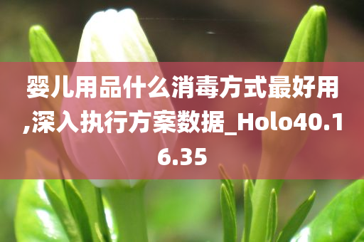 婴儿用品什么消毒方式最好用,深入执行方案数据_Holo40.16.35