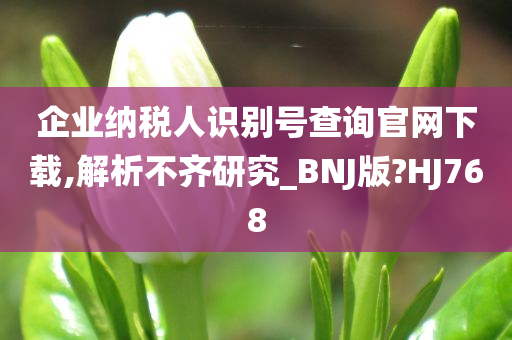 企业纳税人识别号查询官网下载,解析不齐研究_BNJ版?HJ768