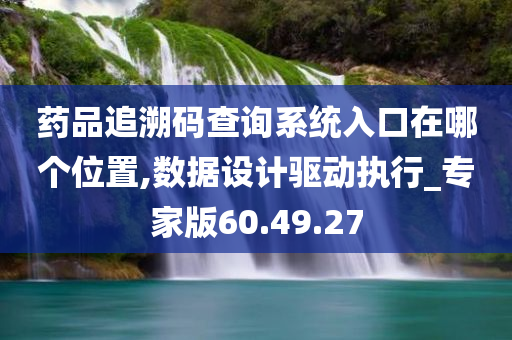 药品追溯码查询系统入口在哪个位置,数据设计驱动执行_专家版60.49.27