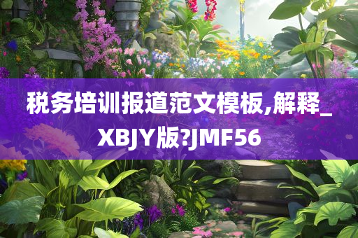 税务培训报道范文模板,解释_XBJY版?JMF56