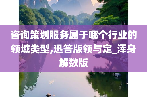 咨询策划服务属于哪个行业的领域类型,迅答版领与定_浑身解数版