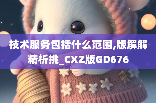 技术服务包括什么范围,版解解精析挑_CXZ版GD676