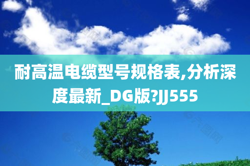 耐高温电缆型号规格表,分析深度最新_DG版?JJ555