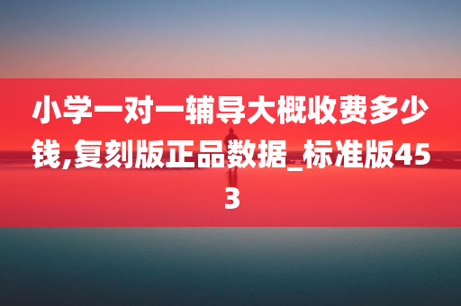 小学一对一辅导大概收费多少钱,复刻版正品数据_标准版453