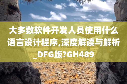 大多数软件开发人员使用什么语言设计程序,深度解读与解析_DFG版?GH489