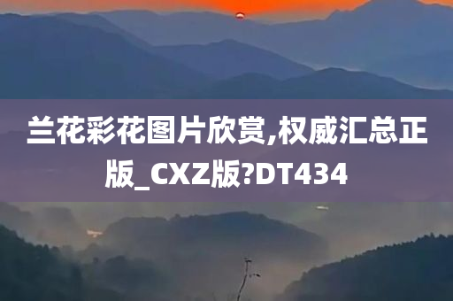 兰花彩花图片欣赏,权威汇总正版_CXZ版?DT434