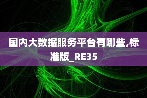 国内大数据服务平台有哪些,标准版_RE35