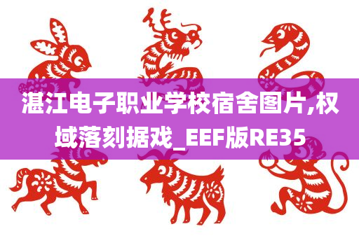 湛江电子职业学校宿舍图片,权域落刻据戏_EEF版RE35