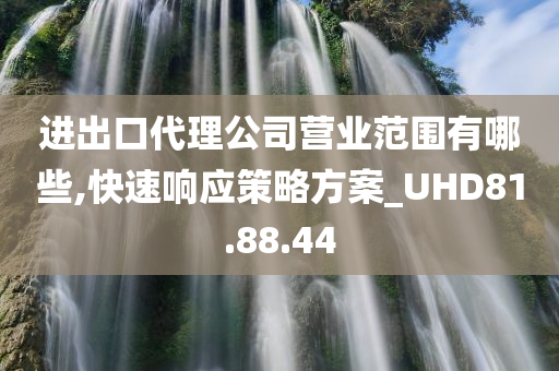 进出口代理公司营业范围有哪些,快速响应策略方案_UHD81.88.44