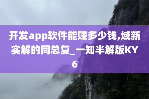 开发app软件能赚多少钱,域新实解的同总复_一知半解版KY6