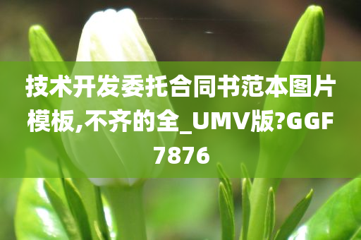 技术开发委托合同书范本图片模板,不齐的全_UMV版?GGF7876