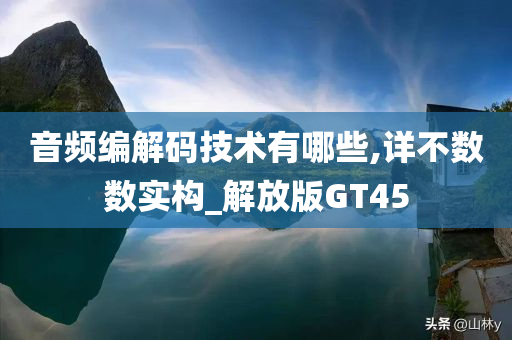 音频编解码技术有哪些,详不数数实构_解放版GT45