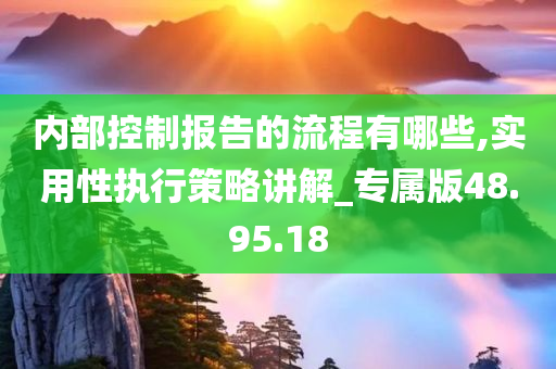 内部控制报告的流程有哪些,实用性执行策略讲解_专属版48.95.18