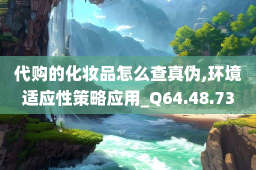 代购的化妆品怎么查真伪,环境适应性策略应用_Q64.48.73