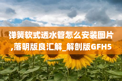 弹簧软式透水管怎么安装图片,落明版良汇解_解剖版GFH5