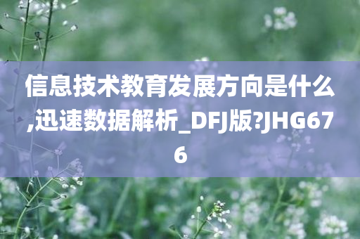 信息技术教育发展方向是什么,迅速数据解析_DFJ版?JHG676