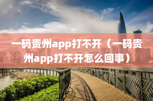 一码贵州app打不开（一码贵州app打不开怎么回事）