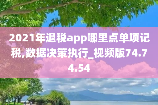 2021年退税app哪里点单项记税,数据决策执行_视频版74.74.54