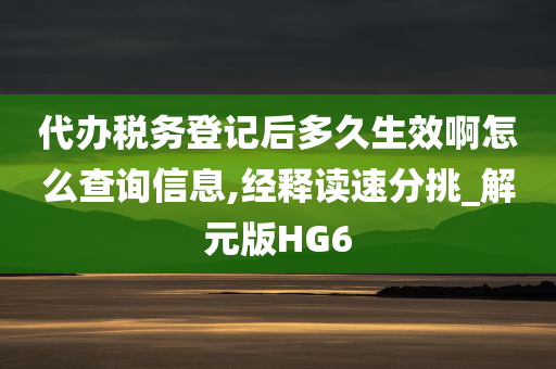 代办税务登记后多久生效啊怎么查询信息,经释读速分挑_解元版HG6