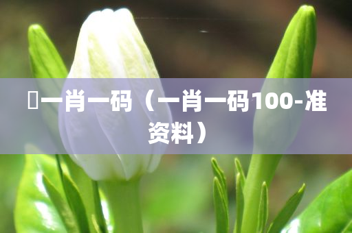 釆一肖一码（一肖一码100-准资料）