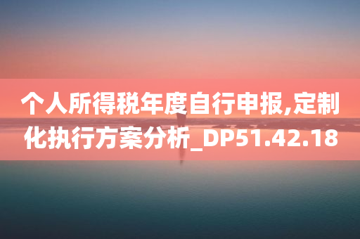 个人所得税年度自行申报,定制化执行方案分析_DP51.42.18