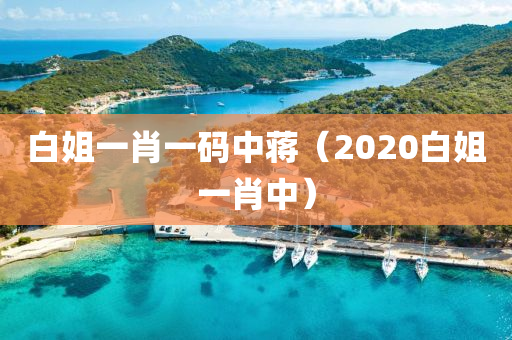 白姐一肖一码中蒋（2020白姐一肖中）