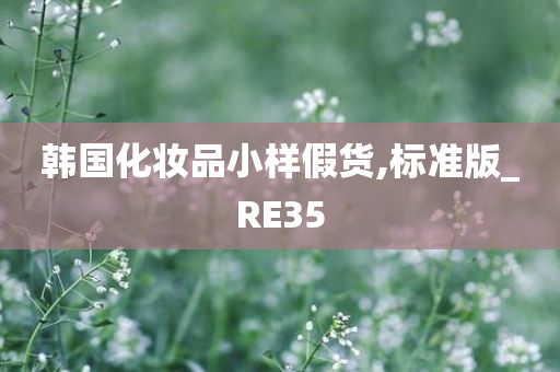 韩国化妆品小样假货,标准版_RE35