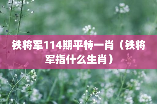 铁将军114期平特一肖（铁将军指什么生肖）