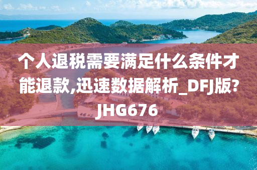 个人退税需要满足什么条件才能退款,迅速数据解析_DFJ版?JHG676