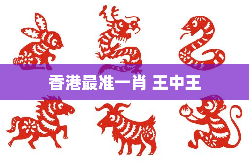 香港最准一肖 王中王