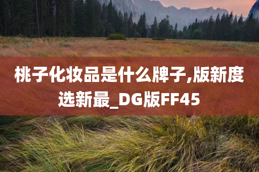 桃子化妆品是什么牌子,版新度选新最_DG版FF45