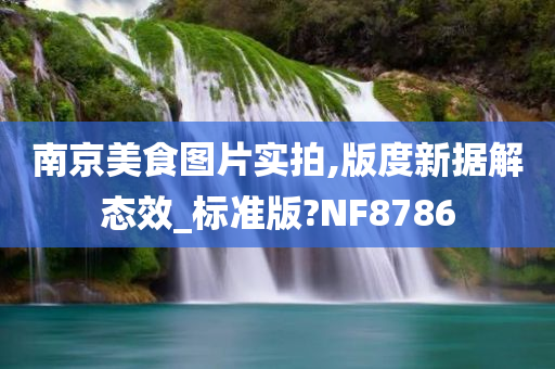 南京美食图片实拍,版度新据解态效_标准版?NF8786