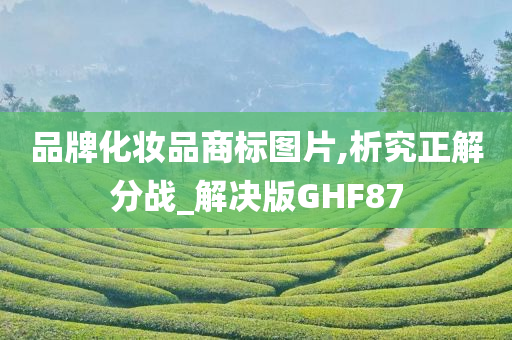 品牌化妆品商标图片,析究正解分战_解决版GHF87