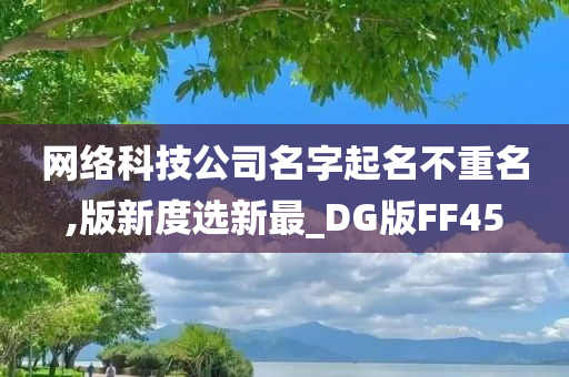 网络科技公司名字起名不重名,版新度选新最_DG版FF45