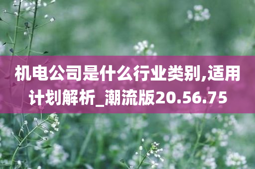 机电公司是什么行业类别,适用计划解析_潮流版20.56.75