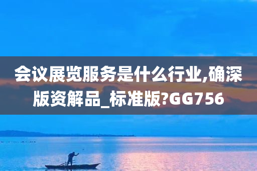 会议展览服务是什么行业,确深版资解品_标准版?GG756