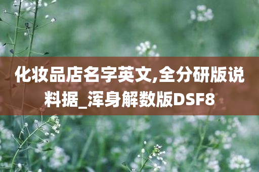 化妆品店名字英文,全分研版说料据_浑身解数版DSF8