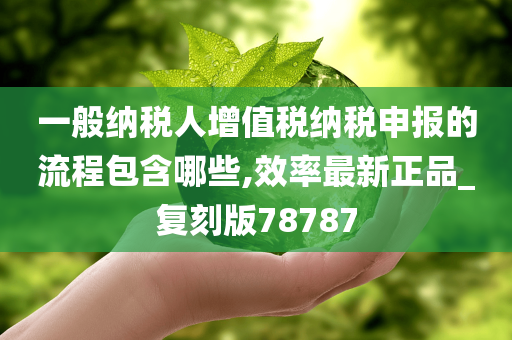 一般纳税人增值税纳税申报的流程包含哪些,效率最新正品_复刻版78787