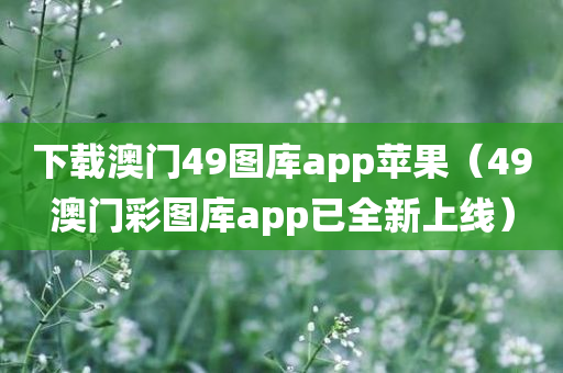 下载澳门49图库app苹果（49澳门彩图库app已全新上线）