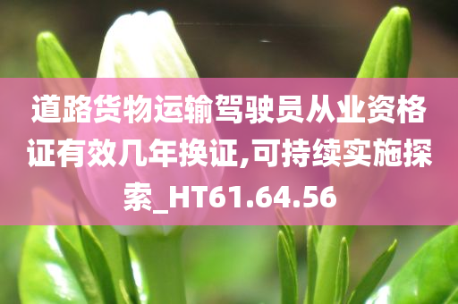 道路货物运输驾驶员从业资格证有效几年换证,可持续实施探索_HT61.64.56